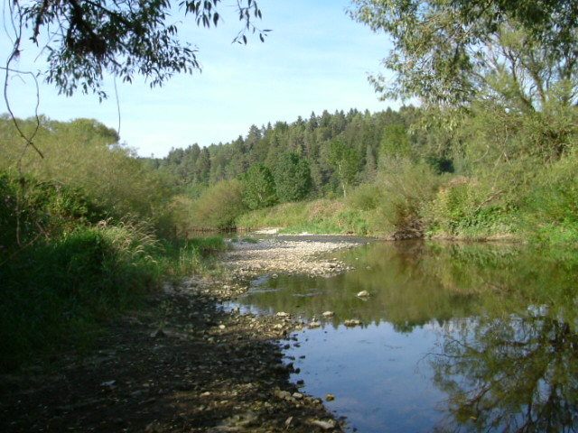 Die Donauversickerung bei Immendingen