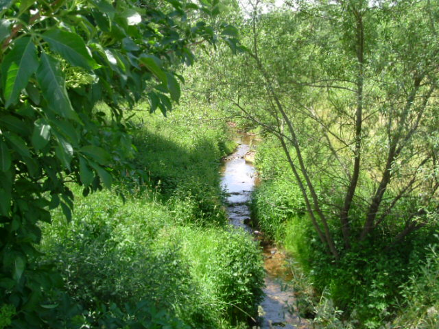 No hay mucho agua ahora en el rio