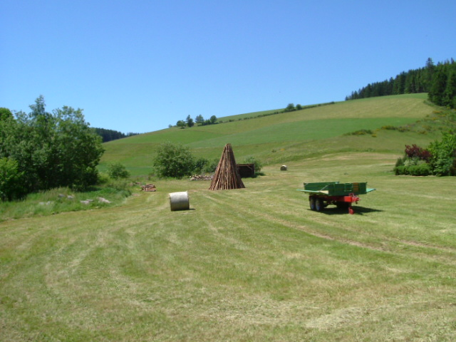 madera